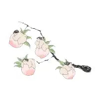 Chinese Peaches - design