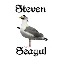 Steven Seagull - design