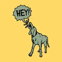 What Dogs are trying to say - design