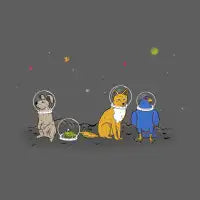 Do a Barrel Roll! - design