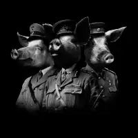 War Pigs - design