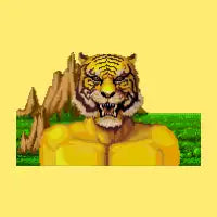 LIGER - design