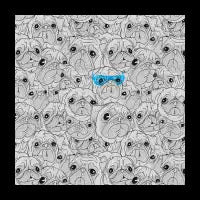 Pugs Pugs Pugs (Blue Glasses) - design