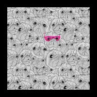 Pugs Pugs Pugs (Pink Glasses) - design