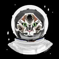 Catronaut - design