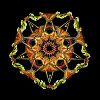 Butterfly Mandala - design