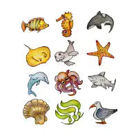 Ocean Life - design