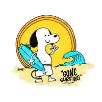 Gone Surfing – Jumpy Surf Co. - design