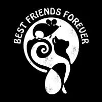 Best Friends cat and mouse - design