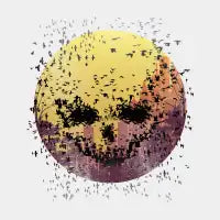 Birds sunset - design