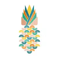 Geometry Pineapple - design