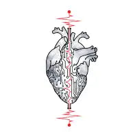 Heartbeat - design