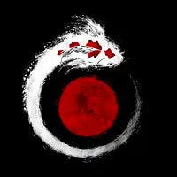 Koi Dragon strokes - design