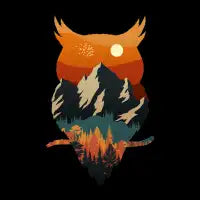 Nigh watcher - design