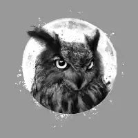 Night Hunter - design