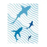 Shark hunting time - design