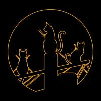 Shinobi Cat - design