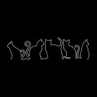 the CATS line - design