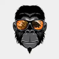 The Cool KONG - design