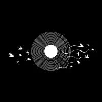 the Migratory birds #4 - design
