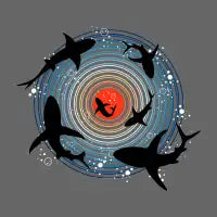 The Sharks Sunlight - design