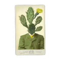 Mr. Cactus - design