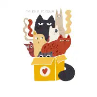 The Box Is Big Enough - design