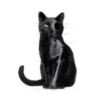 Gothic Skeleton Black Cat - design