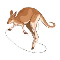 Kangarope - design