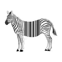 The Zebar Code - design