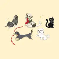 The Pack - design