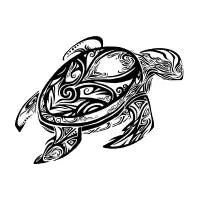 Turtle - design