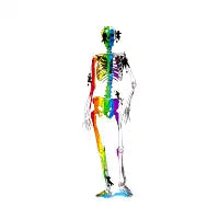 Pride - design