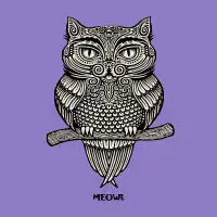 Meowl - design
