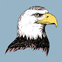 Bald Eagle - design