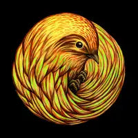 Bird Spiral - design