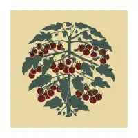 Black Cherry Tomatoes - design