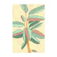 Prayer plant - design