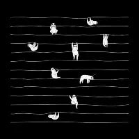 Sloth Stripe - design