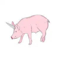 Unipig - design