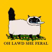 Oh Lawd She Feral Siamese Cat - design