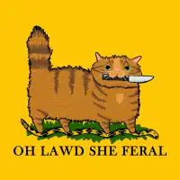 Oh Lawd She Feral Spicy Ginger Cat - design