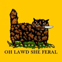 Oh Lawd She Feral Tortie - design