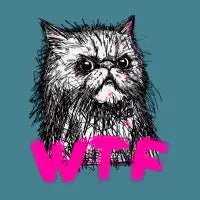 Wtf Cat - design