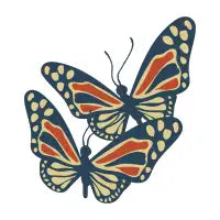 Butterfly - design