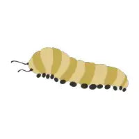 Caterpillar - design
