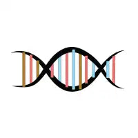 DNA - design