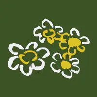 flowers - design