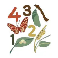 Life Cycle - butterfly - design