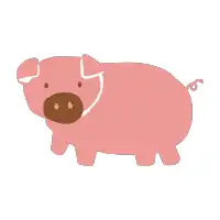 Pink Pig - design